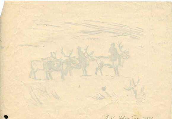 Эвенбах Евгения Константиновна. Северный олень